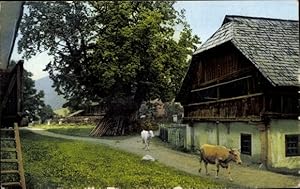 Ansichtskarte / Postkarte Rinder auf einem Bauernhof