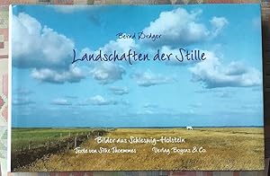 Image du vendeur pour Landschaften der Stille. Bernd Drger. Texte von Silke Thoemmes mis en vente par BBB-Internetbuchantiquariat