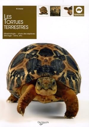 Les tortues terrestres - M. Avanzi