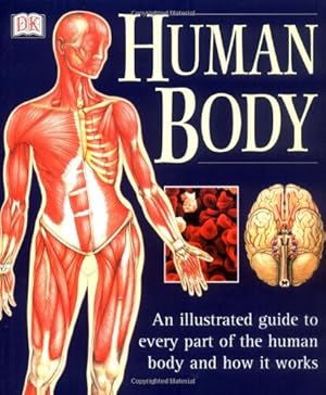 Bild des Verkufers fr Human Body: An Illustrated Guide To Every Part Of The Human Body And How It Works zum Verkauf von WeBuyBooks