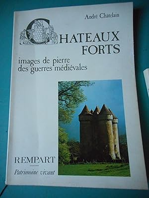 Seller image for Chateaux forts - Images de pierre des guerres medievales for sale by Frederic Delbos