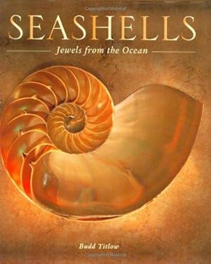 Seller image for Seashells: Jewels from the Ocean for sale by WeBuyBooks