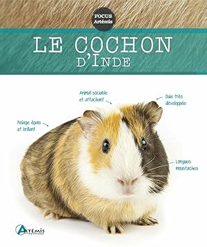 Imagen del vendedor de Cochon d'Inde a la venta por Dmons et Merveilles