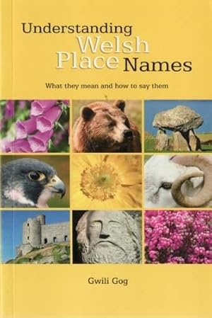 Seller image for Understanding Welsh Place Names: What They Mean and How to Say Them for sale by WeBuyBooks