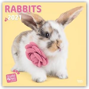 Bild des Verkufers fr Rabbits - Kaninchen 2021: Original Myrna-Kalender [Mehrsprachig] [Kalender] (Wall-Kalender) : Original Myrna-Kalender [Mehrsprachig] [Kalender] zum Verkauf von AHA-BUCH GmbH