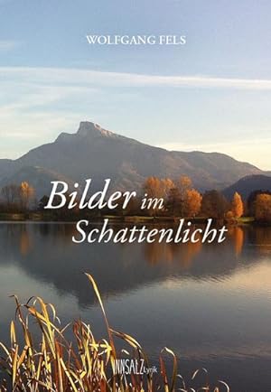 Seller image for Bilder im Schattenlicht for sale by AHA-BUCH GmbH