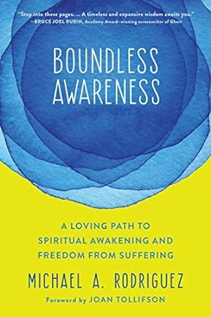 Bild des Verkufers fr Boundless Awareness: A Loving Path to Spiritual Awakening and Freedom from Suffering zum Verkauf von WeBuyBooks