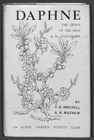 Bild des Verkufers fr Daphne: The Genus in the Wild and in Cultivation - Alpine Garden Society Guide zum Verkauf von WeBuyBooks