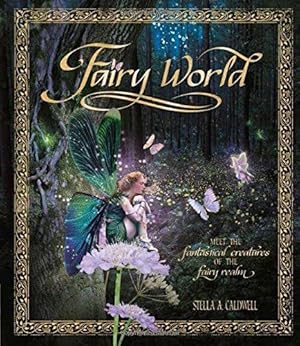 Bild des Verkufers fr Fairy World zum Verkauf von WeBuyBooks