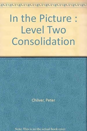 Seller image for In the Picture : Level Two Consolidation for sale by WeBuyBooks