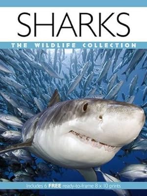 Bild des Verkufers fr Sharks (Wildlife Collection) zum Verkauf von WeBuyBooks