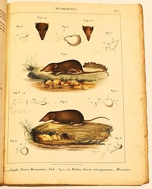 Fragments d'histoire naturelle systématique et physiologique sur les musaraignes [et] Supplément ...