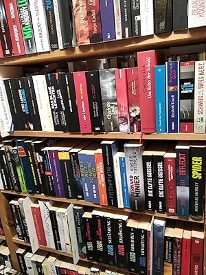 Konvolut Thriller. 15 Bücher zum Preis von einem.