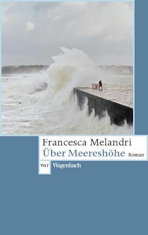 Bild des Verkäufers für Über Meereshöhe (Wagenbachs andere Taschenbücher): Roman zum Verkauf von Modernes Antiquariat - bodo e.V.