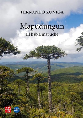 Immagine del venditore per Mapudungun : el habla mapuche / Fernando Ziga. venduto da Iberoamericana, Librera