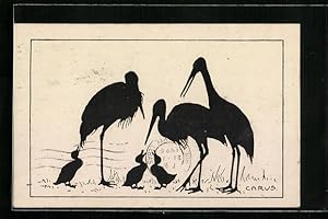 Bild des Verkufers fr Knstler-Ansichtskarte Carus: Storche wachen ber kleine Enten, Schattenbild zum Verkauf von Bartko-Reher