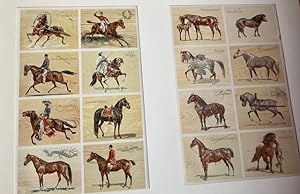 Two Sheets of Chromolithographs