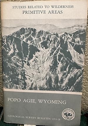 Immagine del venditore per Mineral resources of the Popo Agie Primitive Area, Fremont and Sublette Counties, Wyoming venduto da Crossroads Books
