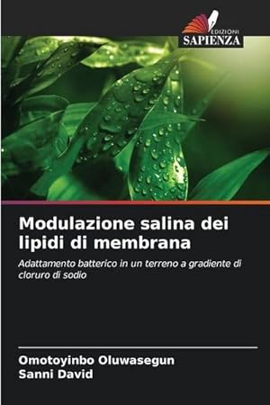 Seller image for Modulazione salina dei lipidi di membrana : Adattamento batterico in un terreno a gradiente di cloruro di sodio for sale by AHA-BUCH GmbH