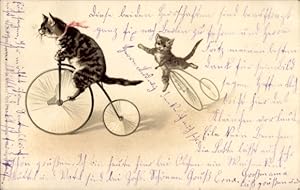 Künstler Ansichtskarte / Postkarte Vermenschlichte Katzen auf Hochrädern