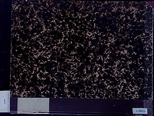 Bild des Verkufers fr Die Niederschlagsverhltnisse der Jahre 1864-1890 nach den aus Beobachtungen von circa 20 Stationen gewonnenen tglichen Durchschnittswerthen des Niederschlags. Heft 1 zum Verkauf von Antiquariat Bookfarm