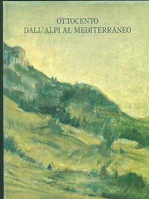 Immagine del venditore per Ottocento dall'alpi al mediterraneo venduto da Librodifaccia