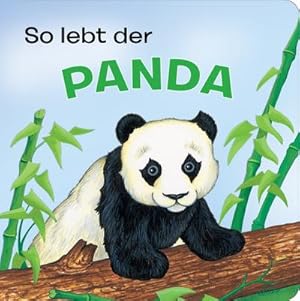 Bild des Verkufers fr Tierkindergeschichten - So lebt der Panda - Pappbilderbuch mit farbigen Illustrationen fr Kinder ab 18 Monaten zum Verkauf von Rheinberg-Buch Andreas Meier eK