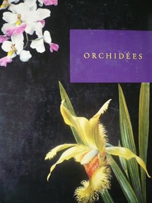 Bild des Verkufers fr Les Orchides zum Verkauf von Ammareal