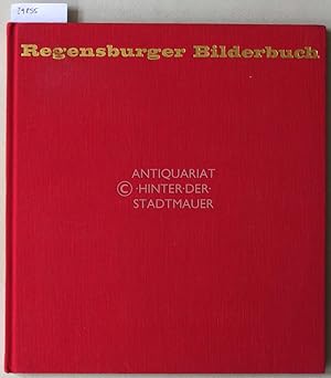 Bild des Verkufers fr Regensburger Bilderbuch. zum Verkauf von Antiquariat hinter der Stadtmauer