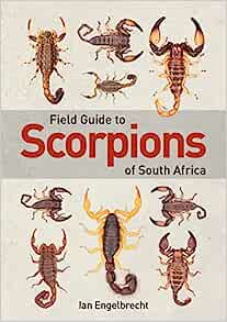 Field Guide to Scorpions of South Africa