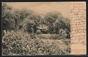 Carte postale Ajaccio, La Grotte Napoléon