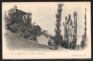 Carte postale Lac-du-Bourget, Le Château de Bourdeau