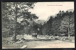 Carte postale Cauterets, Plateau de Bousset, Route du Pont d`Espagne