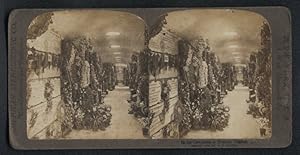 Stereo-Fotografie American Stereoscopic Co., New York, Ansicht Brüssel, Blumenbasar in den Katako...