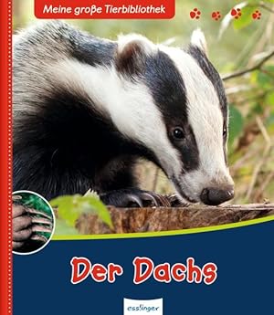 Seller image for Der Dachs (Meine groe Tierbibliothek) for sale by Studibuch