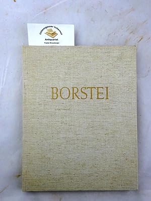 Borstei : Roman einer Bauidee. Der Bund der Architekten und Ingenieure der Akademie für Bautechni...