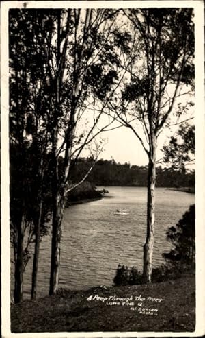 Ansichtskarte / Postkarte Australien, Partie am Flussufer