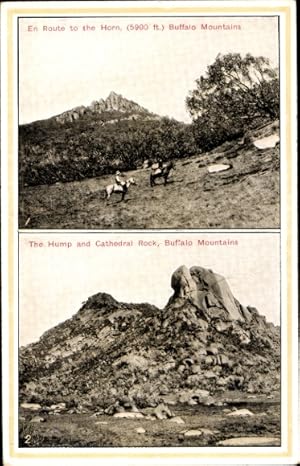 Ansichtskarte / Postkarte Kerry Queensland Australien, Weg zum Horn, Kathedralen Berg, Buffalo Mo...