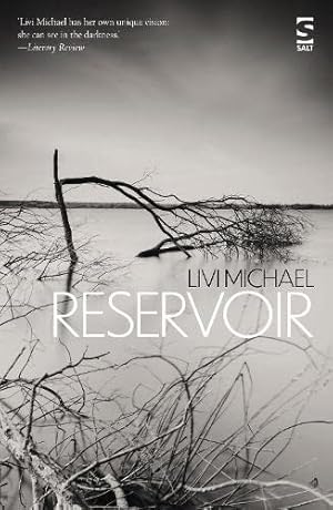 Seller image for Reservoir (Salt Modern Fiction): Memory, trauma, and childhood violence, haunt this novel of unspoken pasts for sale by WeBuyBooks