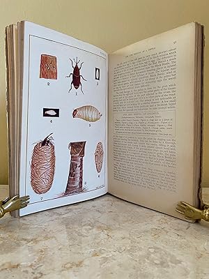 Seller image for Animal Life | In Story and Picture with Special Reference to Ceylon for sale by Little Stour Books PBFA Member