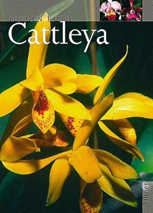 Seller image for Cattleya for sale by Rheinberg-Buch Andreas Meier eK