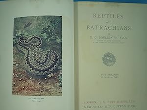 Reptiles and Batrachians