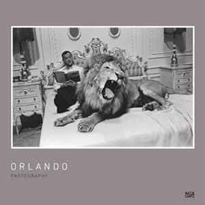 Seller image for Orlando for sale by Rheinberg-Buch Andreas Meier eK