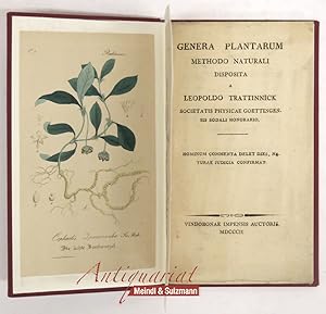 Bild des Verkufers fr Genera plantarum methodo naturali disposita. zum Verkauf von Antiquariat MEINDL & SULZMANN OG