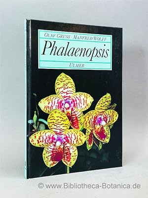Bild des Verkufers fr Phalaenopsis. zum Verkauf von Bibliotheca Botanica