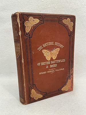 Seller image for An Illustrated Natural History of British Butterflies and Moths. The Figures Drawn by George Willis & Engraved by John Kirchner for sale by St Philip's Books, P.B.F.A., B.A.