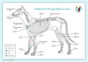 Image du vendeur pour Akupunktur-Tafel Hund : PraNeoHom Energie-Balance Hund mis en vente par AHA-BUCH GmbH