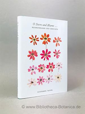 Imagen del vendedor de O Stern und Blume . Blumenbilder und Gedichte ; eine Auswahl. a la venta por Bibliotheca Botanica