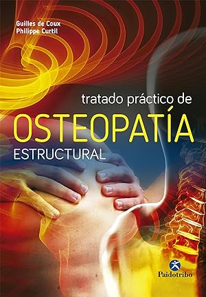 Image du vendeur pour Tratado practico de osteopatia estructural mis en vente par Imosver