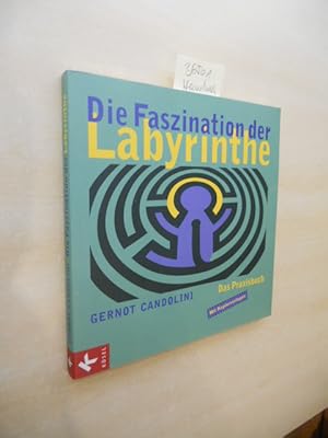 Die Faszination der Labyrinthe. Das Praxisbuch.